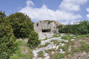 Conchetas 22 B7 poste optique Simon