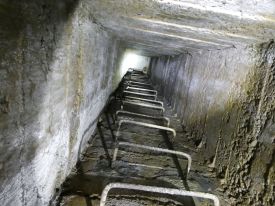 Conchetas 23 B7 Ellena Cuny