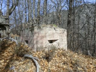 Planet 4c Ellena Cuny