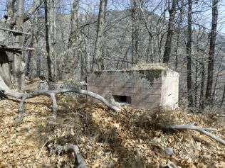 Planet 4d Ellena Cuny