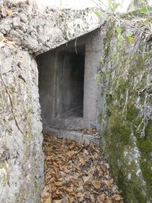 Planet 3c poste optique Ellena Cuny