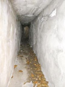 Planet 3d poste optique Ellena Cuny