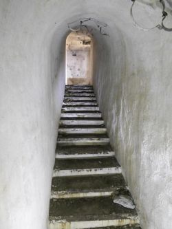 Planet e B2 gal. entrée Ellena Cuny