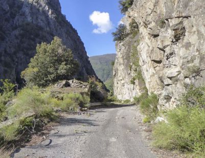 Valabres N 7 Pamart6 Ellena Cuny